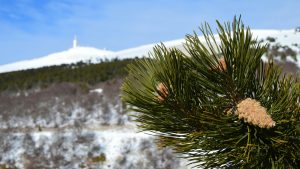 Mont Ventoux sous la neige